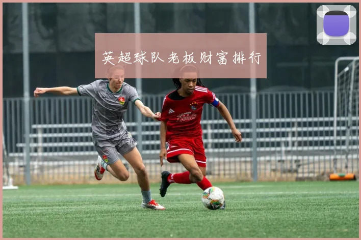 英超球队老板财富排行